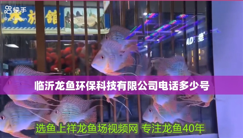 臨沂龍魚環(huán)保科技有限公司電話多少號
