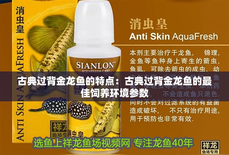 古典過背金龍魚的特點：古典過背金龍魚的最佳飼養環境參數