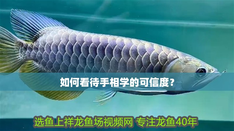 如何看待手相學的可信度？