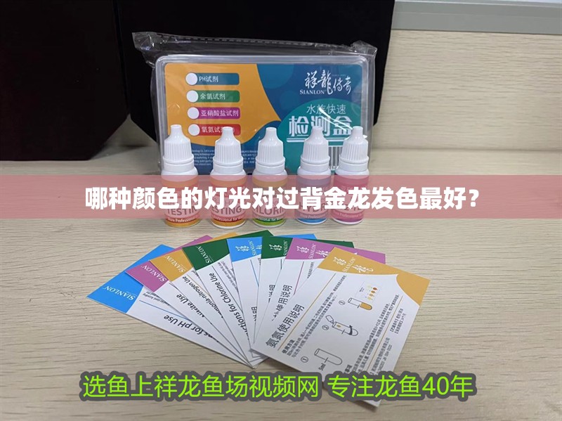 哪種顏色的燈光對過背金龍發(fā)色最好？