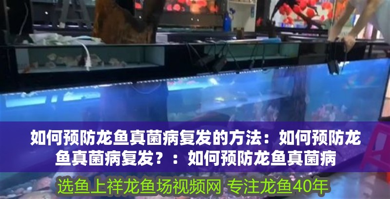 如何預防龍魚真菌病復發的方法：如何預防龍魚真菌病復發？：如何預防龍魚真菌病
