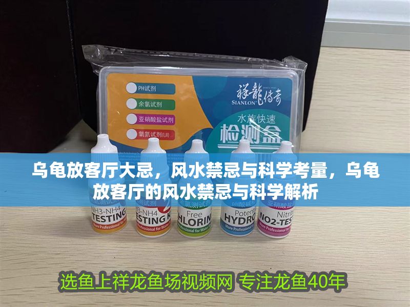 烏龜放客廳大忌,風水禁忌與科學考量,烏龜放客廳的風水禁忌與科學解析 龍魚百科 第1張 烏龜放客廳大忌,風水禁忌與科學考量,烏龜放客廳的風水禁忌與科學解析 烏龜放客廳大忌,風水禁忌與科學考量,烏龜放客廳的風水禁忌與科學解析 龍魚百科 第1張