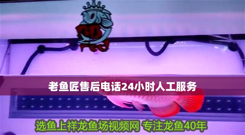 老魚匠售后電話24小時人工服務 老魚匠售后電話24小時人工服務 龍魚百科