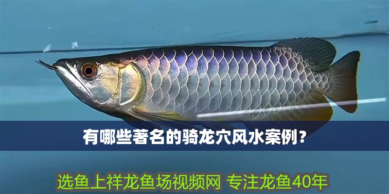 有哪些著名的騎龍穴風(fēng)水案例？