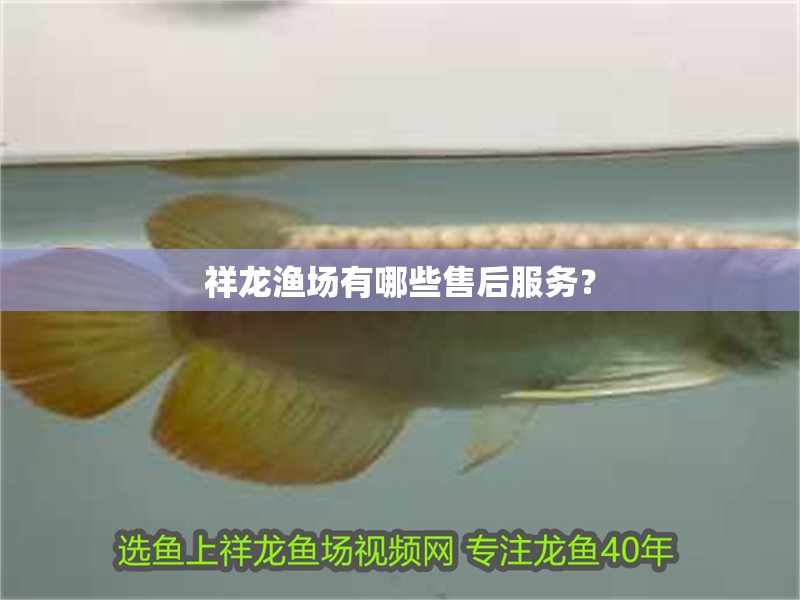 祥龍漁場(chǎng)有哪些售后服務(wù)？