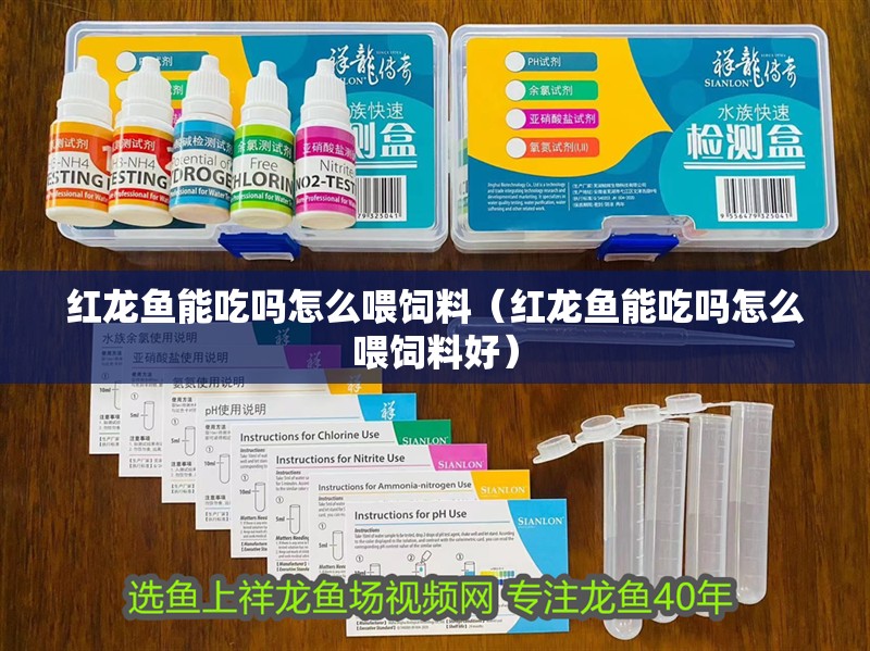 紅龍魚能吃嗎怎么喂飼料（紅龍魚能吃嗎怎么喂飼料好）