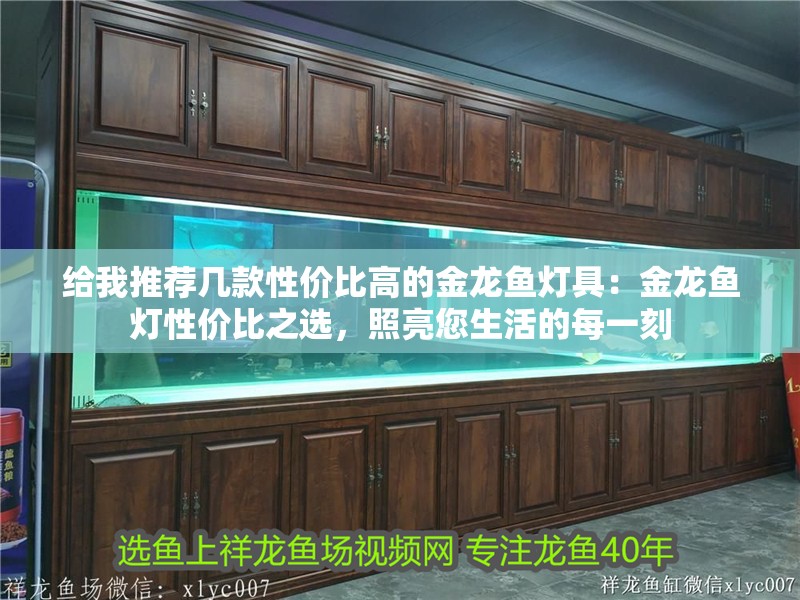 給我推薦幾款性價比高的金龍魚燈具：金龍魚燈性價比之選，照亮您生活的每一刻