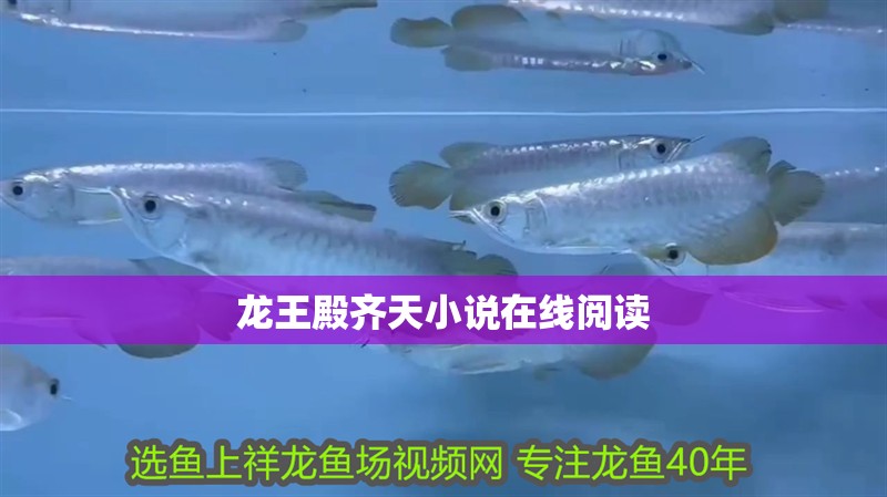 龍王殿齊天小說在線閱讀