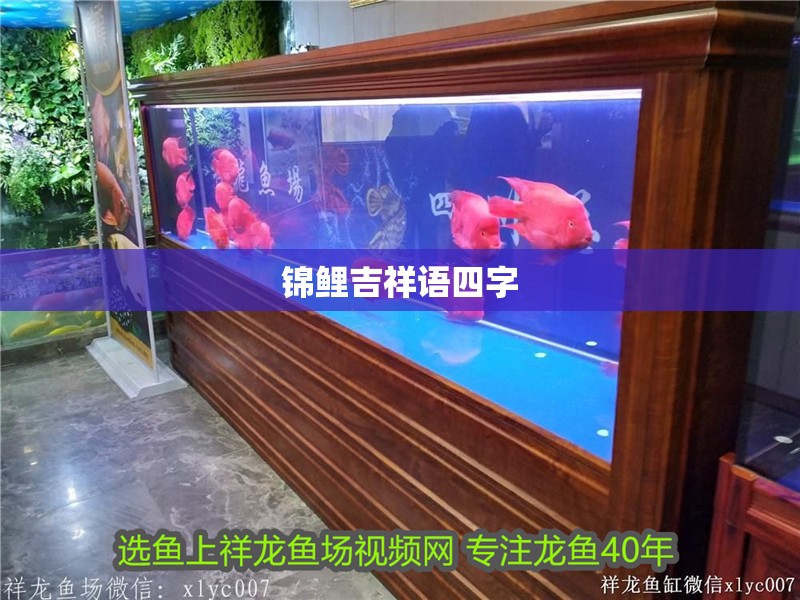 錦鯉吉祥語(yǔ)四字 錦鯉吉祥語(yǔ)四字 龍魚百科
