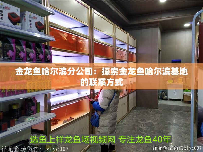 金龍魚哈爾濱分公司：探索金龍魚哈爾濱基地的聯(lián)系方式