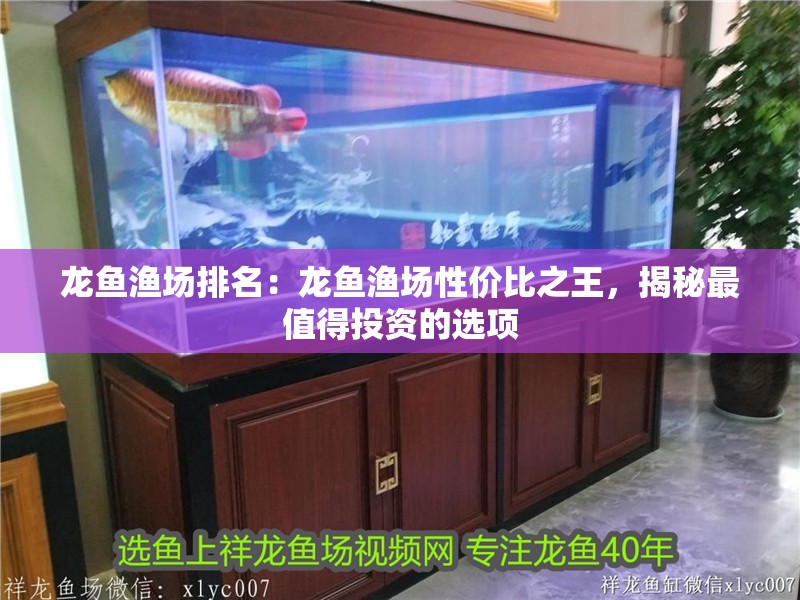 龍魚漁場排名：龍魚漁場性價比之王，揭秘最值得投資的選項