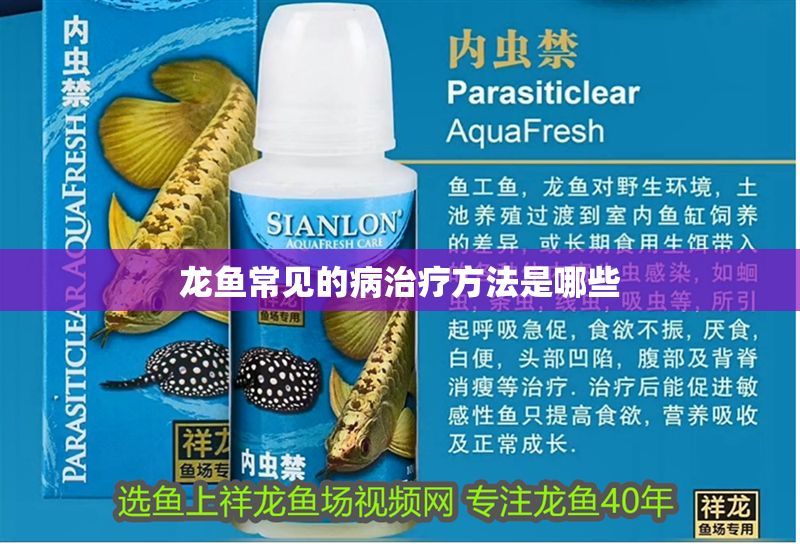 龍魚常見的病治療方法是哪些 龍魚常見的病治療方法是哪些 龍魚百科 第2張