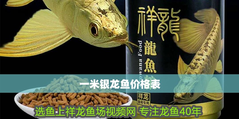 一米銀龍魚價格表