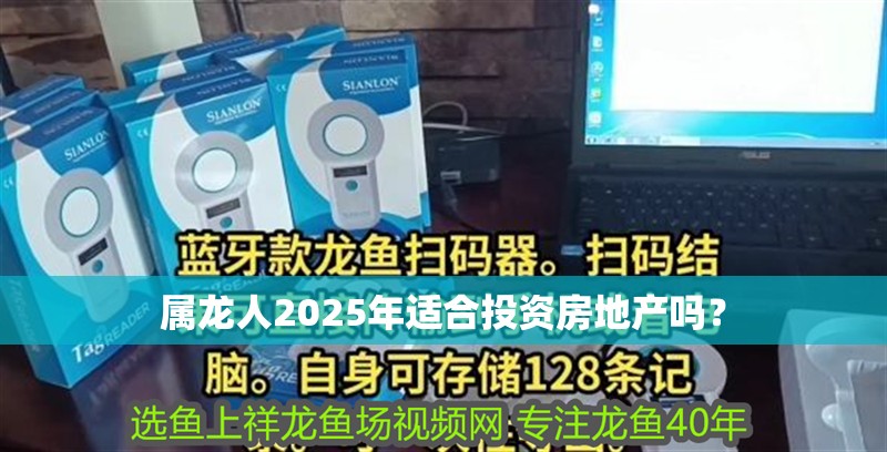 屬龍人2025年適合投資房地產(chǎn)嗎？ 屬龍人2025年適合投資房地產(chǎn)嗎？ 龍魚百科