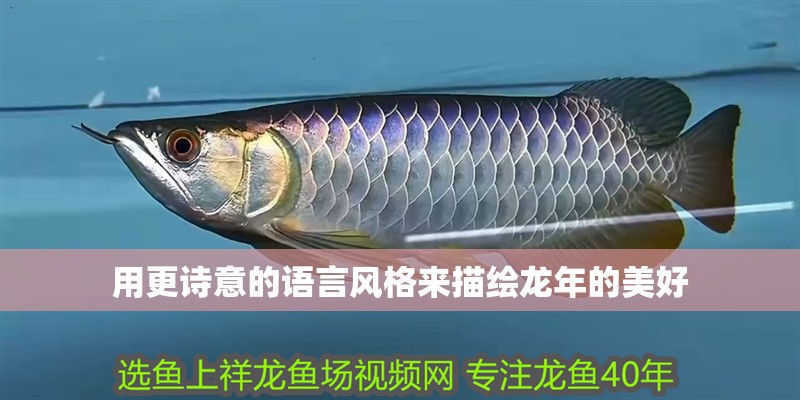 用更詩意的語言風格來描繪龍年的美好