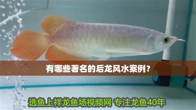 有哪些著名的后龍風水案例？