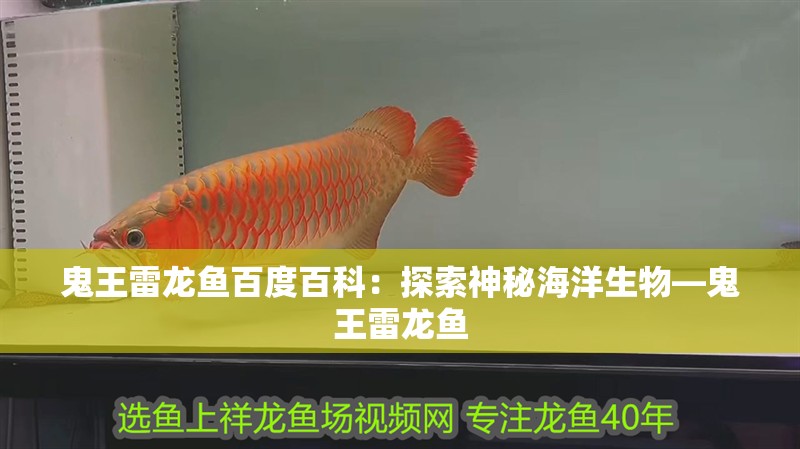 鬼王雷龍魚(yú)百度百科：探索神秘海洋生物—鬼王雷龍魚(yú)