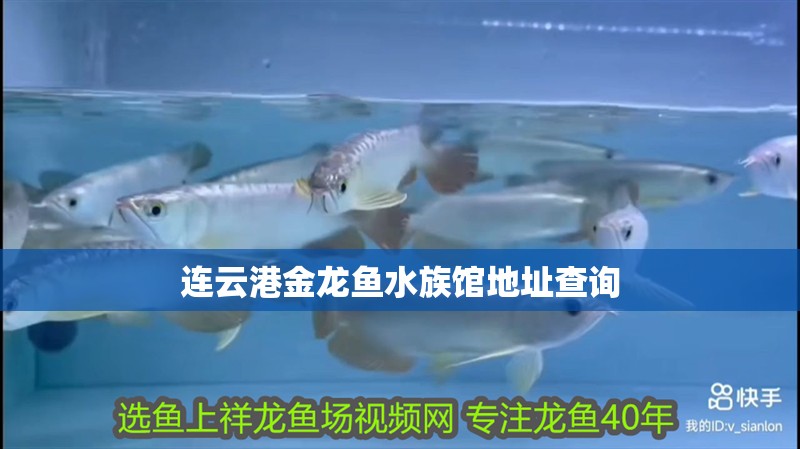 連云港金龍魚水族館地址查詢