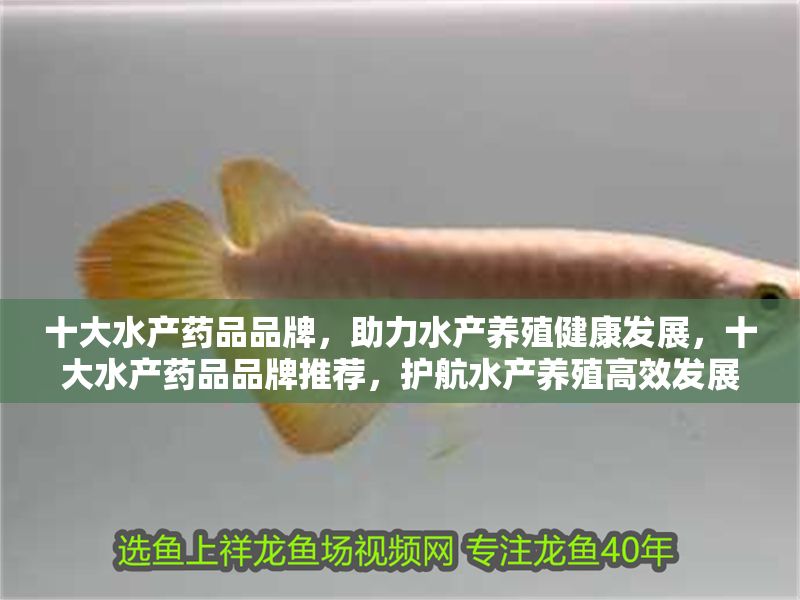 十大水產藥品品牌，助力水產養殖健康發展，十大水產藥品品牌推薦，護航水產養殖高效發展