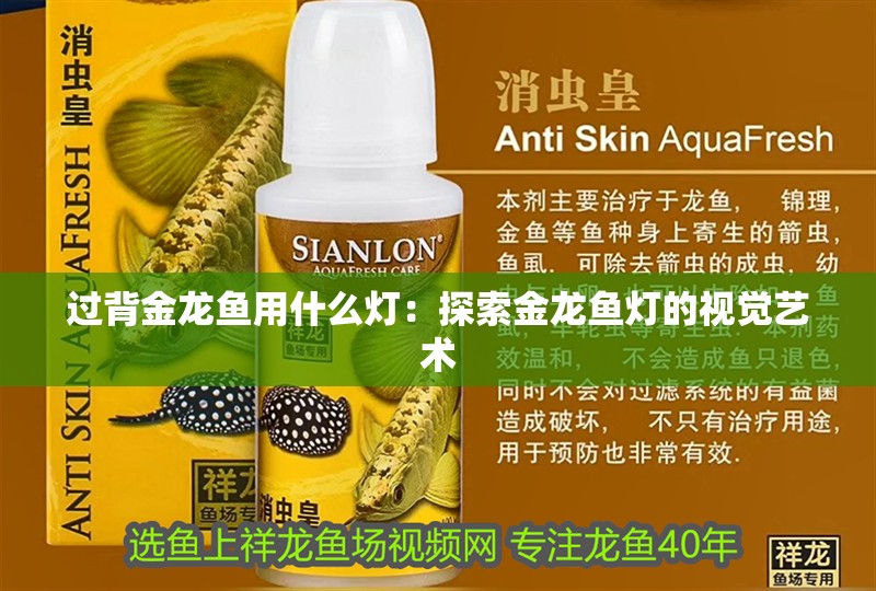 過背金龍魚用什么燈：探索金龍魚燈的視覺藝術(shù)