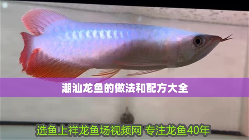 潮汕龍魚的做法和配方大全 潮汕龍魚的做法和配方大全 龍魚百科