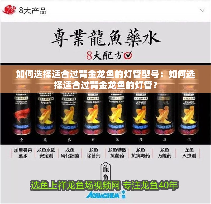 如何選擇適合過背金龍魚的燈管型號：如何選擇適合過背金龍魚的燈管？