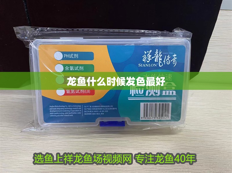 龍魚什么時候發色最好