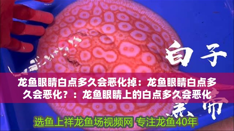 龍魚眼睛白點多久會惡化掉：龍魚眼睛白點多久會惡化？：龍魚眼睛上的白點多久會惡化
