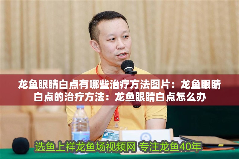 龍魚眼睛白點有哪些治療方法圖片：龍魚眼睛白點的治療方法：龍魚眼睛白點怎么辦
