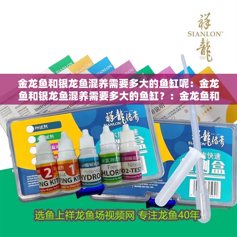 金龍魚和銀龍魚混養需要多大的魚缸呢：金龍魚和銀龍魚混養需要多大的魚缸？：金龍魚和銀龍魚混養的注意事項
