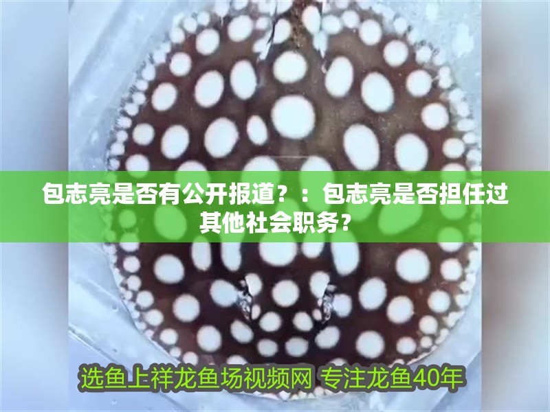 包志亮是否有公開報道？：包志亮是否擔任過其他社會職務？
