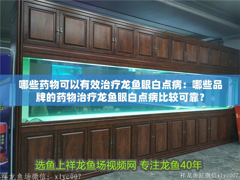 哪些藥物可以有效治療龍魚眼白點病：哪些品牌的藥物治療龍魚眼白點病比較可靠？