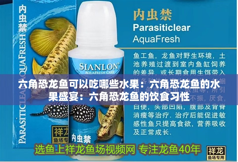 六角恐龍魚可以吃哪些水果：六角恐龍魚的水果盛宴：六角恐龍魚的飲食習性