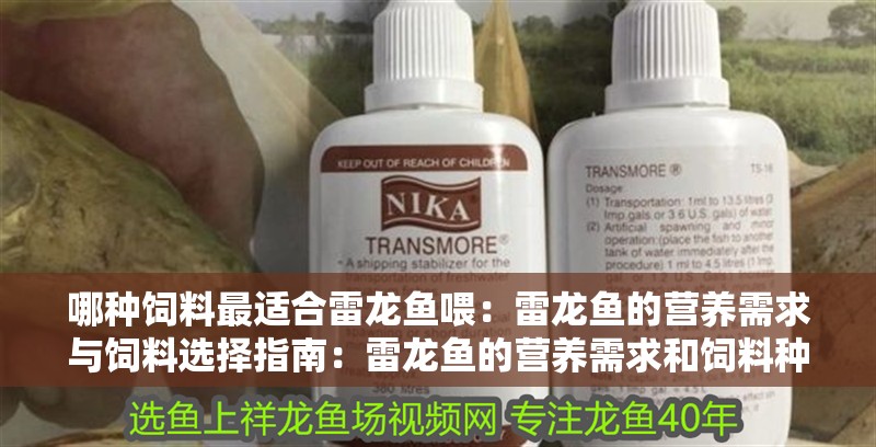 哪種飼料最適合雷龍魚喂：雷龍魚的營養(yǎng)需求與飼料選擇指南：雷龍魚的營養(yǎng)需求和飼料種類及其優(yōu)缺點