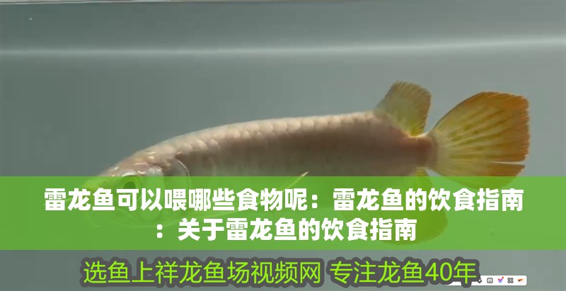 雷龍魚可以喂哪些食物呢：雷龍魚的飲食指南：關于雷龍魚的飲食指南