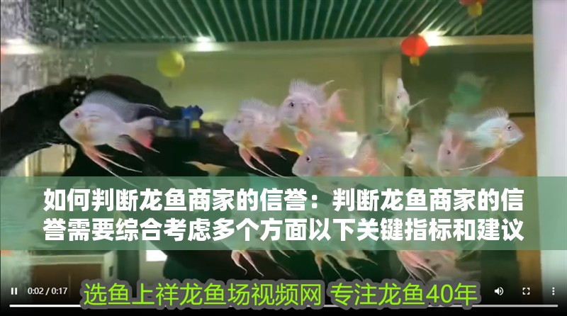 如何判斷龍魚商家的信譽：判斷龍魚商家的信譽需要綜合考慮多個方面以下關鍵指標和建議