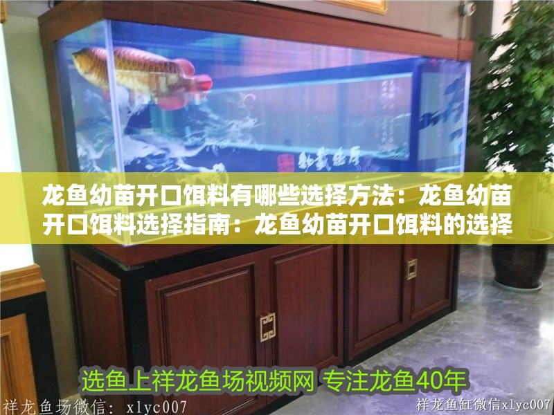 龍魚幼苗開口餌料有哪些選擇方法：龍魚幼苗開口餌料選擇指南：龍魚幼苗開口餌料的選擇