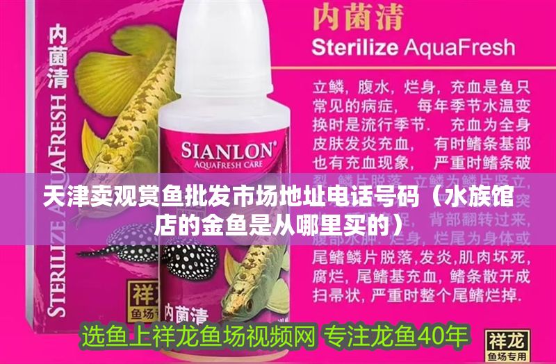 天津賣觀賞魚批發(fā)市場地址電話號碼（水族館店的金魚是從哪里買的）