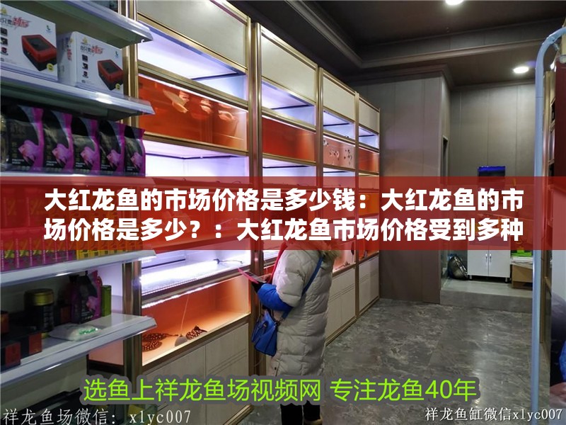 大紅龍魚的市場價格是多少錢：大紅龍魚的市場價格是多少？：大紅龍魚市場價格受到多種因素影響大紅龍魚的價格及其影響因素