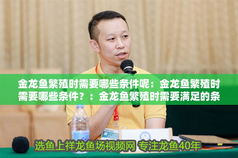 金龍魚繁殖時需要哪些條件呢：金龍魚繁殖時需要哪些條件？：金龍魚繁殖時需要滿足的條件