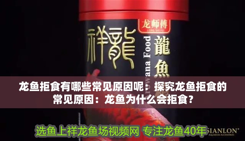 龍魚拒食有哪些常見原因呢：探究龍魚拒食的常見原因：龍魚為什么會拒食？ 龍魚拒食有哪些常見原因呢：探究龍魚拒食的常見原因：龍魚為什么會拒食？ 水族問答