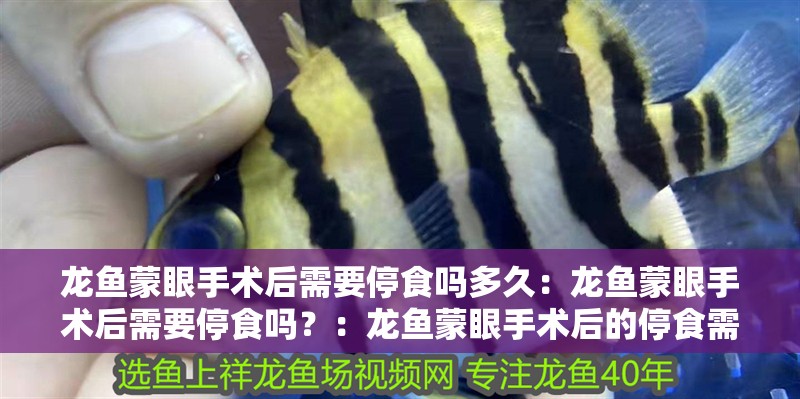 龍魚蒙眼手術(shù)后需要停食嗎多久：龍魚蒙眼手術(shù)后需要停食嗎？：龍魚蒙眼手術(shù)后的停食需要注意什么，龍魚蒙眼手術(shù)后需要停食嗎