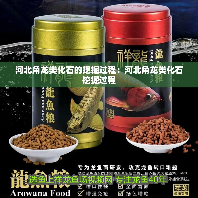 河北角龍類化石的挖掘過程：河北角龍類化石挖掘過程