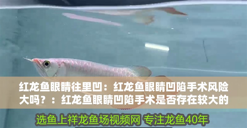 紅龍魚眼睛往里凹：紅龍魚眼睛凹陷手術風險大嗎？：紅龍魚眼睛凹陷手術是否存在較大的風險？