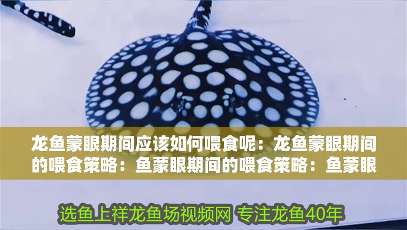 龍魚蒙眼期間應該如何喂食呢：龍魚蒙眼期間的喂食策略：魚蒙眼期間的喂食策略：魚蒙眼期間的健康至關重要