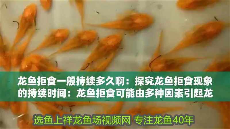 龍魚拒食一般持續多久啊：探究龍魚拒食現象的持續時間：龍魚拒食可能由多種因素引起龍魚拒食的持續時間因素 龍魚拒食一般持續多久?。禾骄魁堲~拒食現象的持續時間：龍魚拒食可能由多種因素引起龍魚拒食的持續時間因素 水族問答