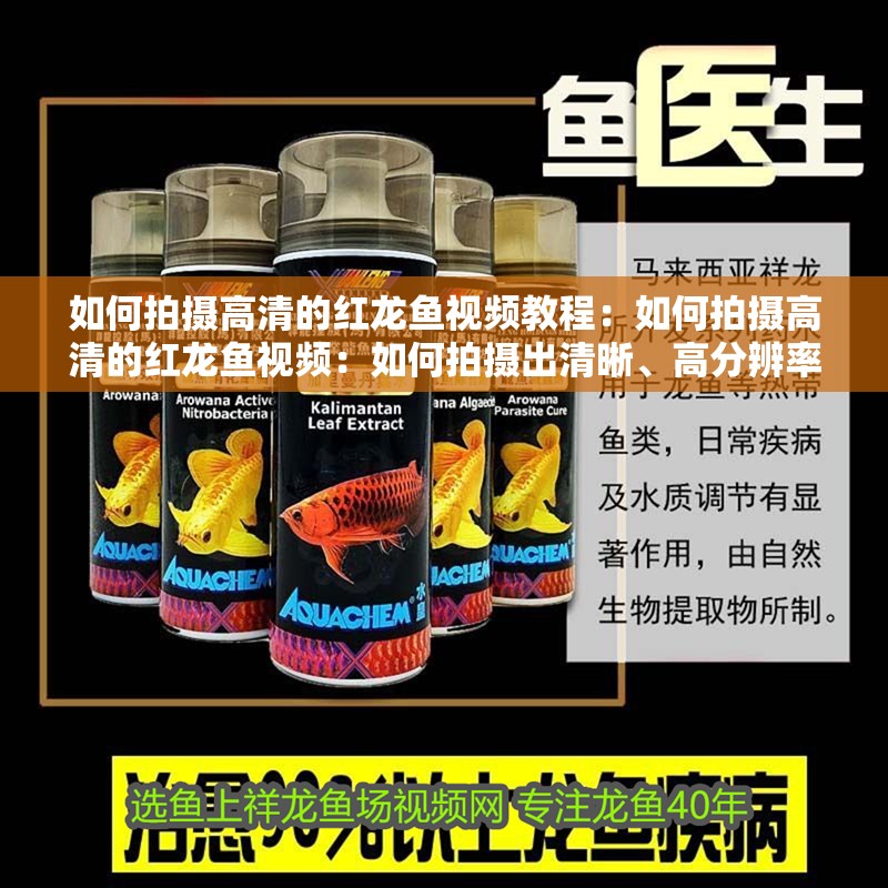 如何拍攝高清的紅龍魚視頻教程：如何拍攝高清的紅龍魚視頻：如何拍攝出清晰、高分辨率的紅龍魚視頻