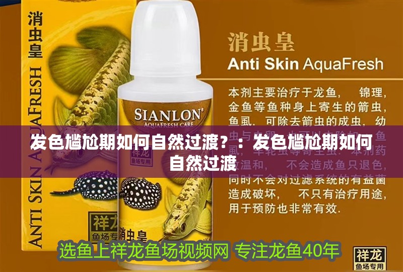 發色尷尬期如何自然過渡？：發色尷尬期如何自然過渡