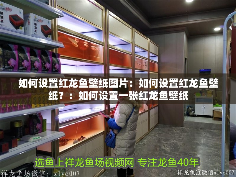 如何設置紅龍魚壁紙圖片：如何設置紅龍魚壁紙？：如何設置一張紅龍魚壁紙