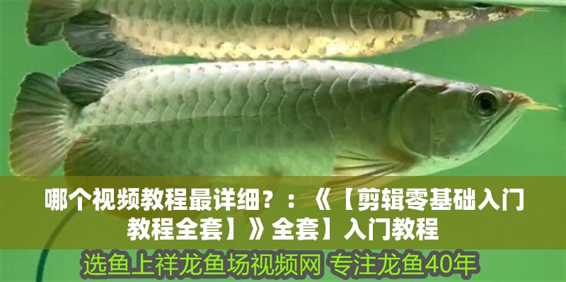 哪個視頻教程最詳細？：《【剪輯零基礎(chǔ)入門教程全套】》全套】入門教程